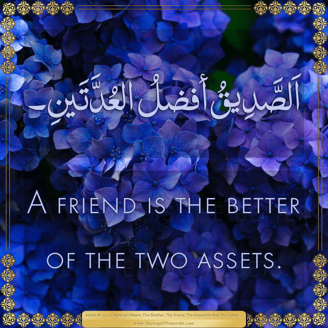 A friend is the better of the two assets.